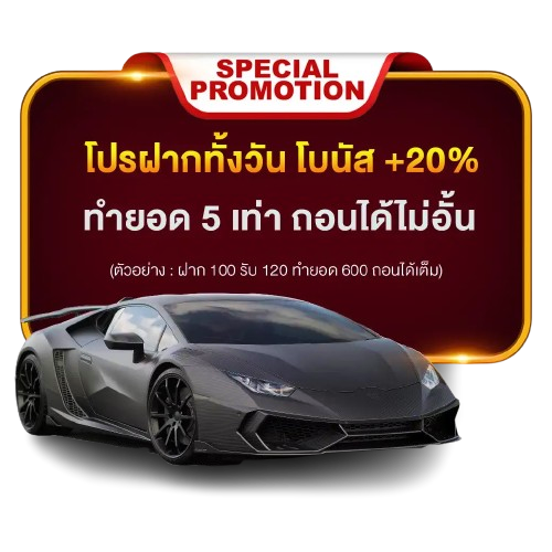 promotion by betflikwin